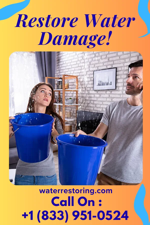 water restoration Stellar Recovery Experts Maysville