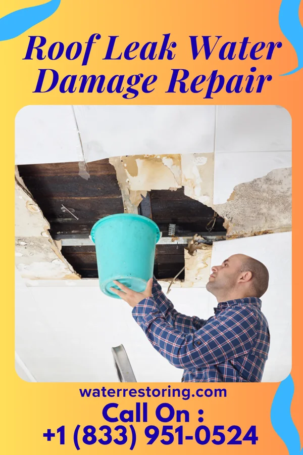 Roof Leak Water Damage Repair in Maysville, OK