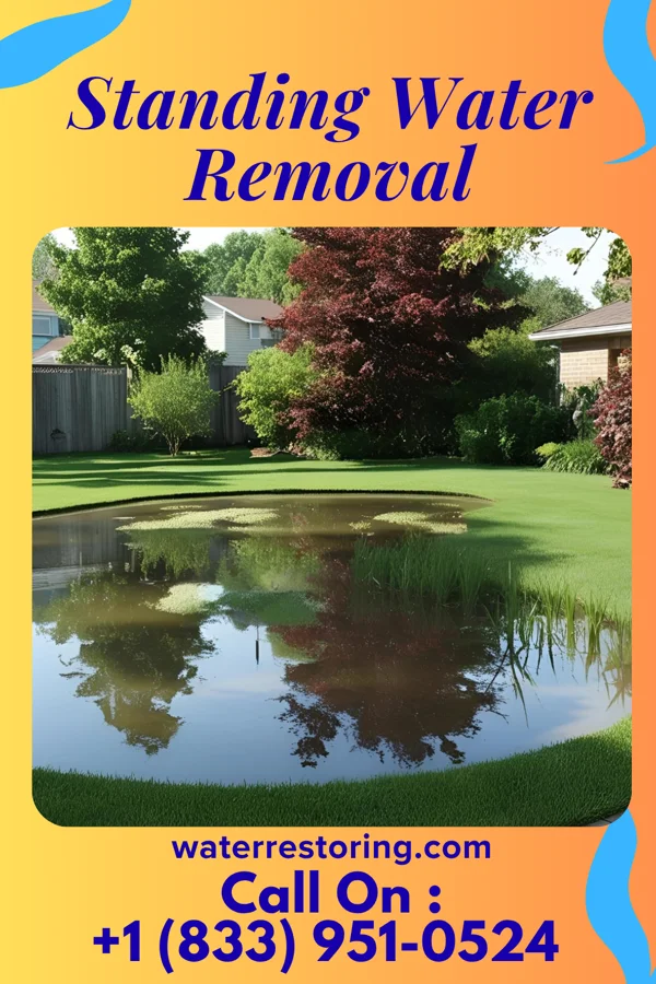 Standing Water Removal in Maysville, OK